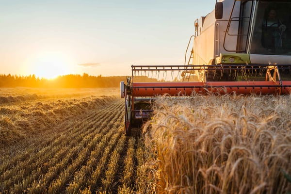unternehmensverkauf-landwirtschaft