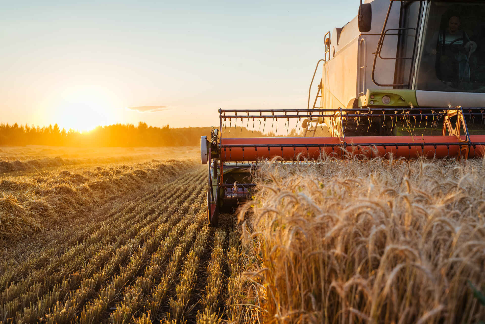 sale-of-a-business-in-agriculture