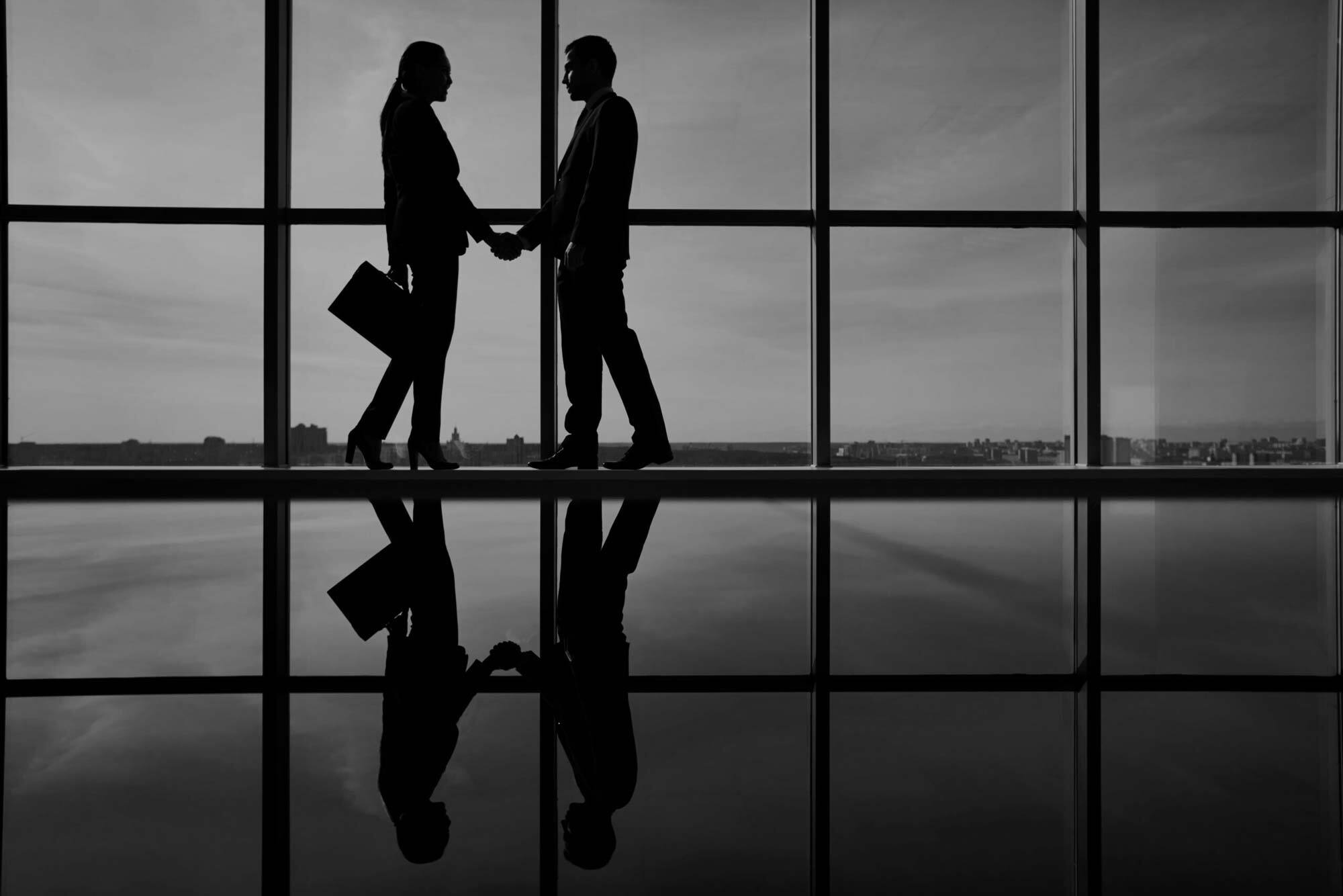 kapitalerhoehung-investoren-finanzen-intelligentis-capital-raise
